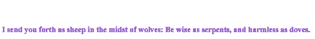 dovebar1.gif (36578 bytes)