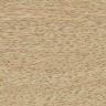 greydott.jpg (2707 bytes)