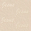 jesusback.jpg (13731 bytes)