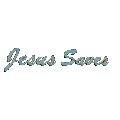 salvation2.gif (8527 bytes)