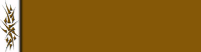 thorns1.jpg (4259 bytes)